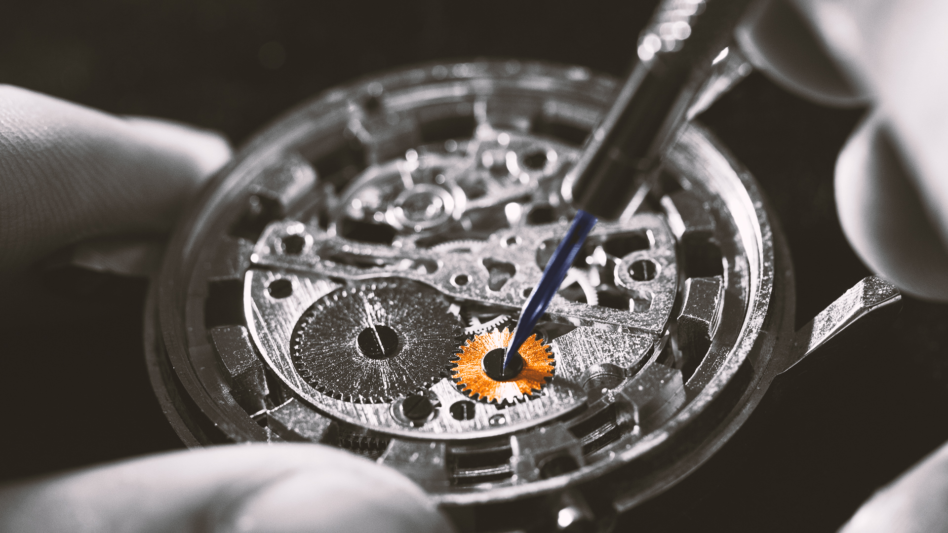 Jpeg Motion V2 - Salamandre AM_0005_Montre Mecanisme-1